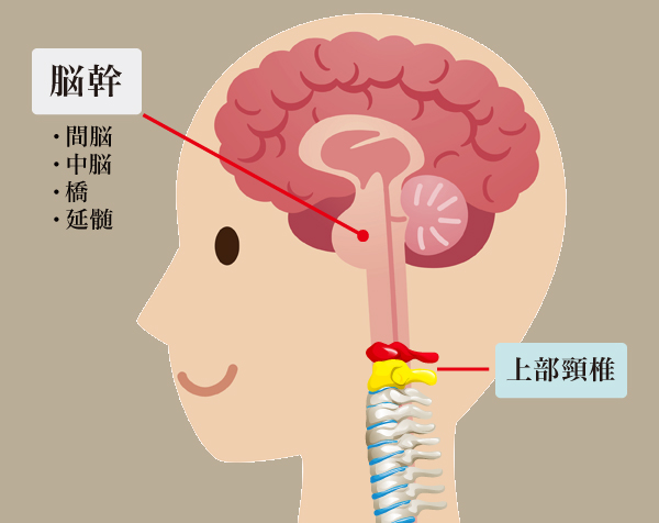 自律神経の働きを改善させる