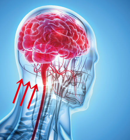 B頭部(脳)の血流量が増える